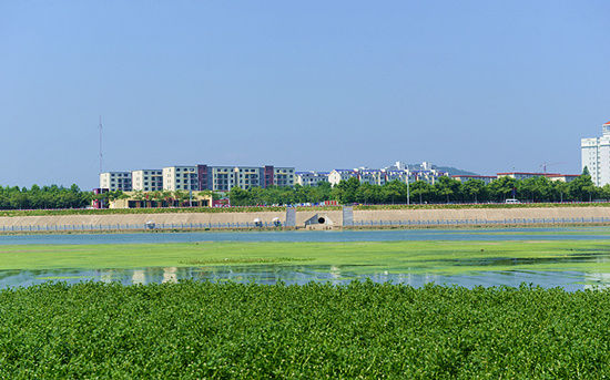 信陽浉河二號橡膠壩藍(lán)藻泛濫