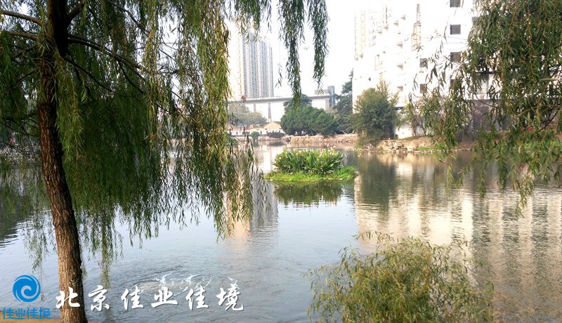 公園景觀水治理后