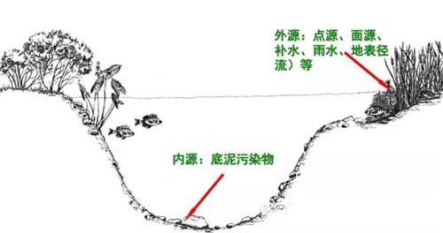 黑臭河道生態(tài)治理——水體生態(tài)系統(tǒng)重構(gòu)