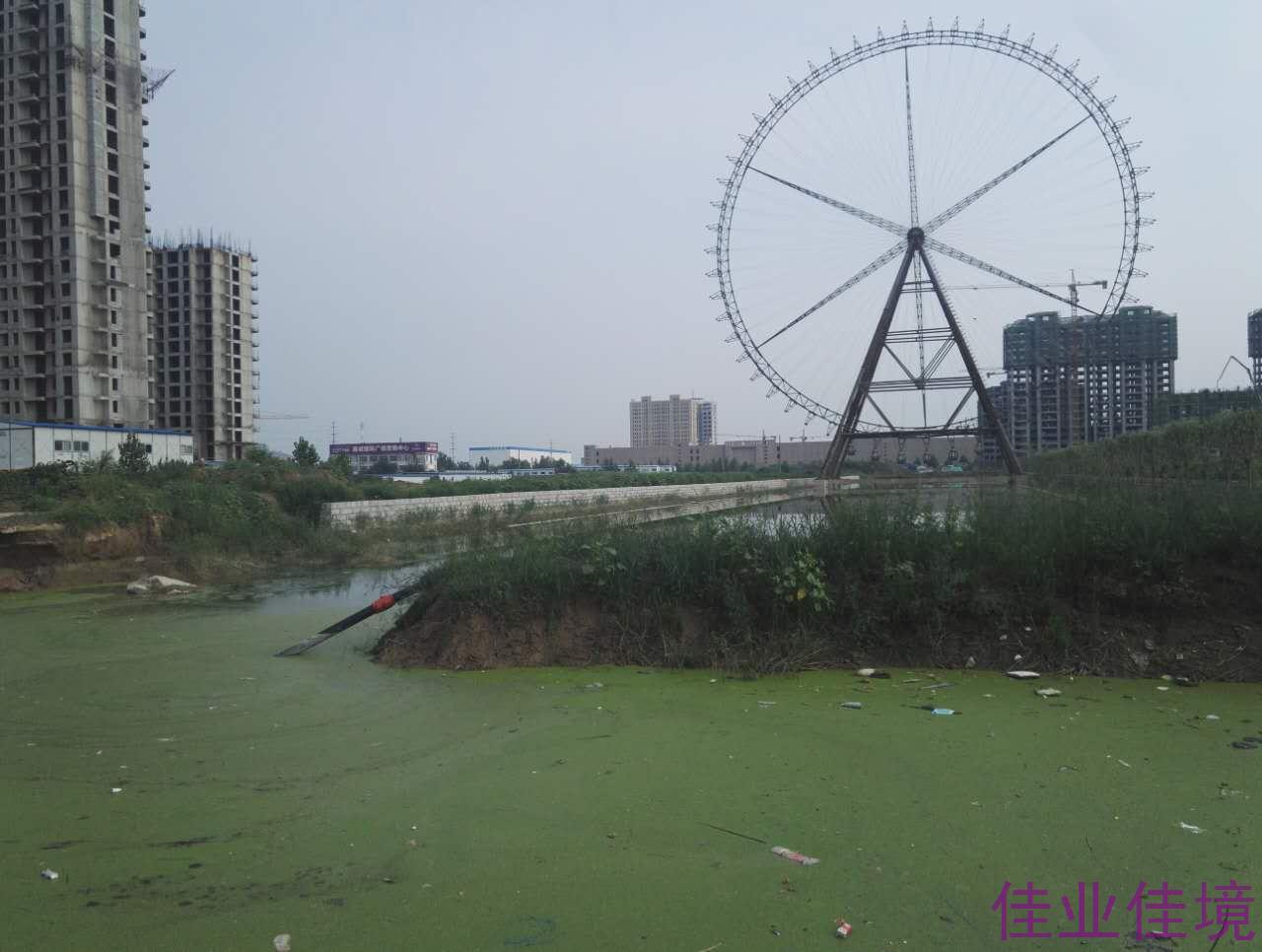 河道藍(lán)藻水華、浮萍治理